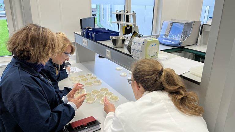 Hands on teaching and learning in laboratory, observing results of experiment