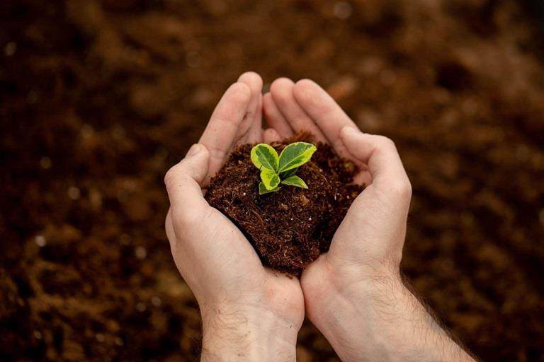 sustainability